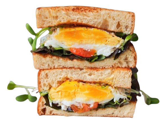 Egg Sandwich